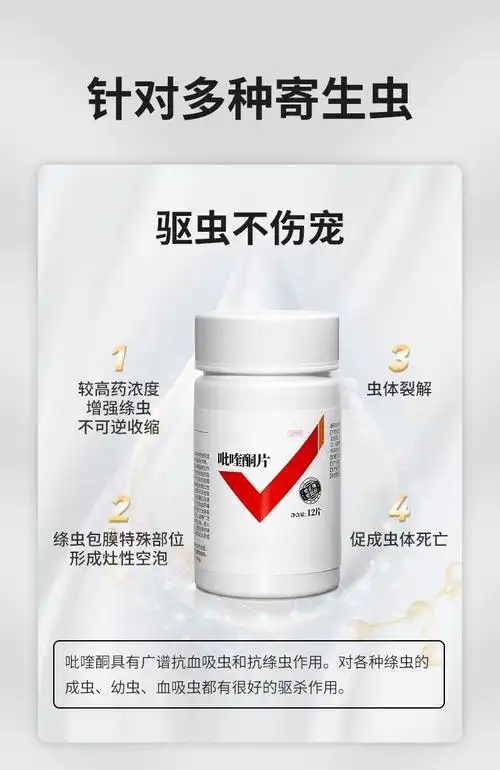 吡喹酮片宠物猫狗犬猫咪体内驱血吸虫绦虫囊尾蚴病泰迪驱虫药柯基