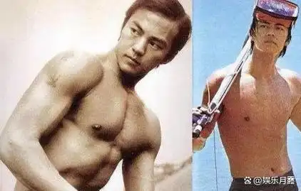 不做大哥好多年的狄龙中年失意后的爽文在二十年前就有了