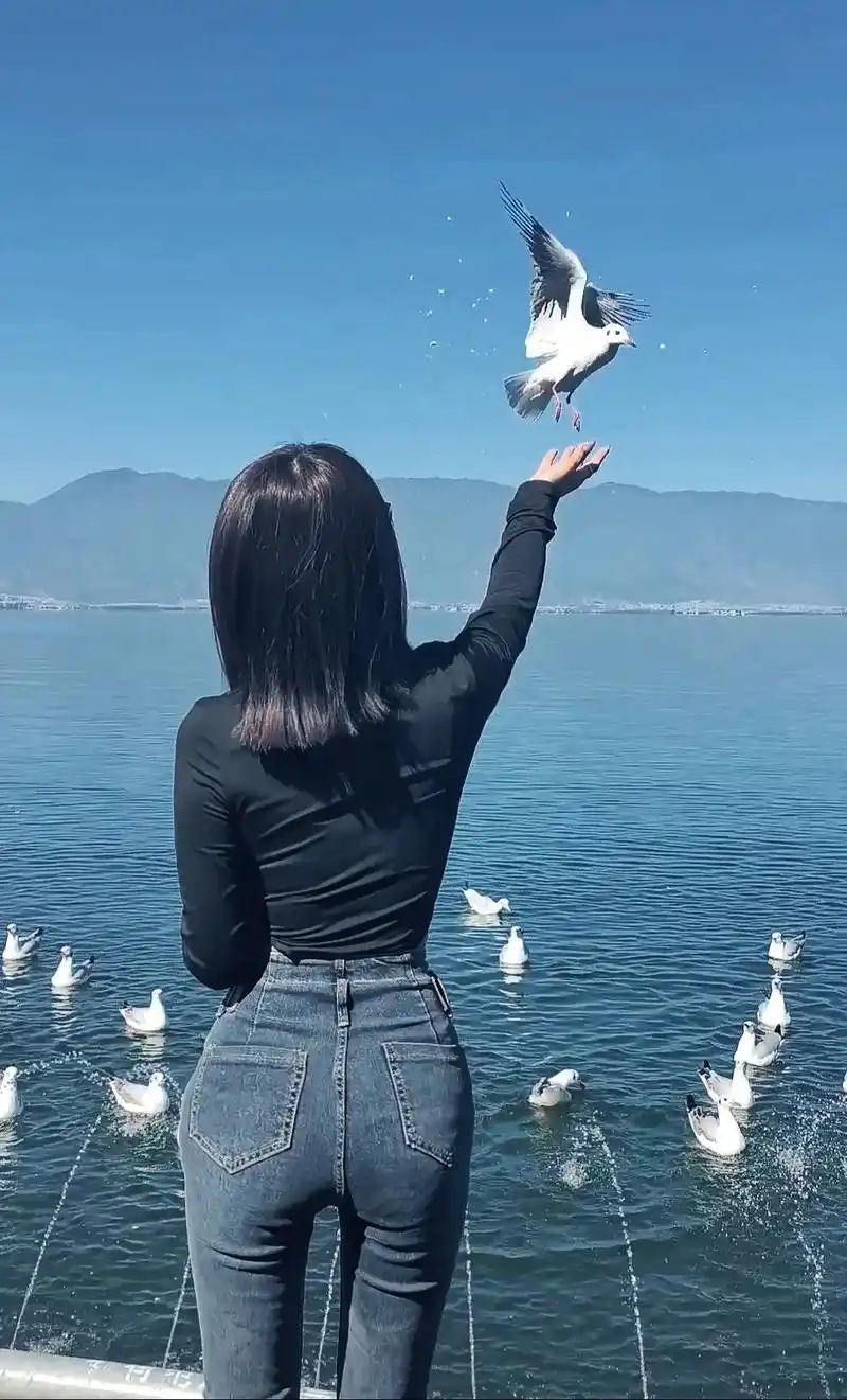 候鸟是留不住的 但海鸥会主动停留. - 抖音