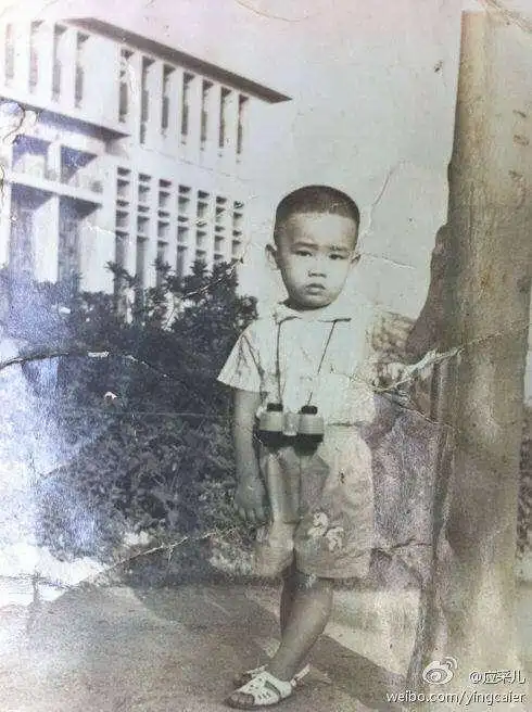 在应采儿的微博里看到陈小春小时候的照片后,小编感觉到jasper不是