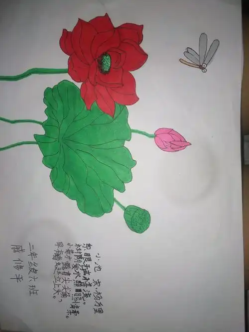 【戚修平】濮阳县第四实验小学 二年级六班