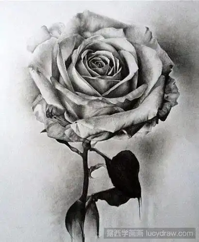 关于素描的静物图片有哪些素描静物作品鉴赏