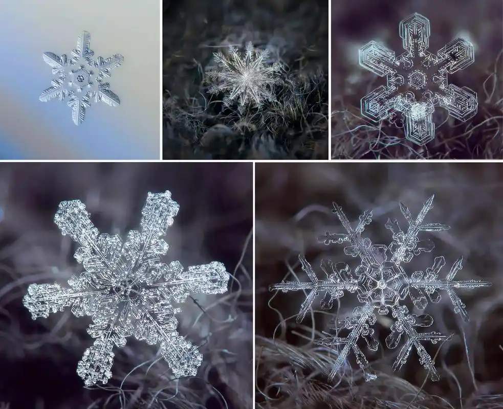 放大的雪花是什么样子?摄影师花13年时间,带你感受雪花的细腻!