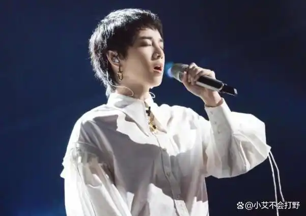 华晨宇究竟挡了谁的道归根结底这是迟到七年的回旋镖