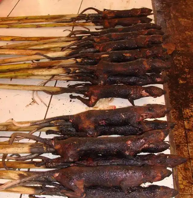 在老挝,老鼠烧烤同样流行,与泰国的烧烤老鼠所不同的是,老挝的老鼠