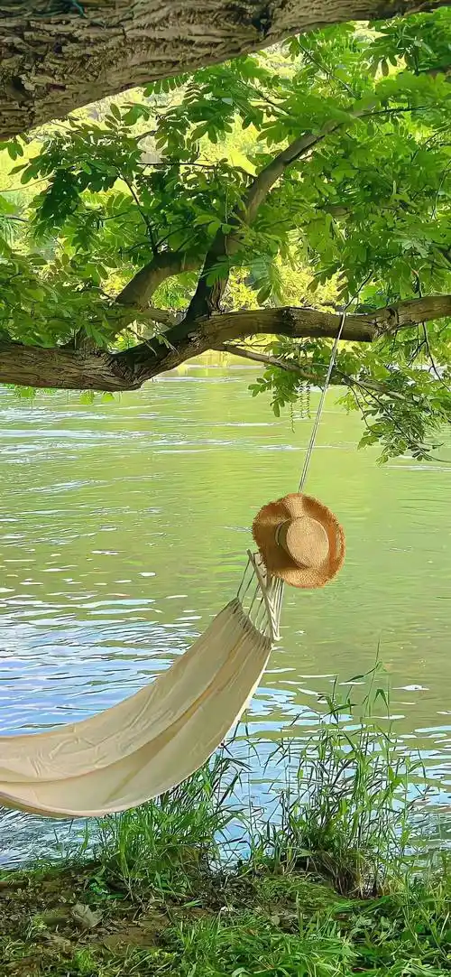 壁纸| ins风治愈系绿色壁纸_表示歉意_图片_错误