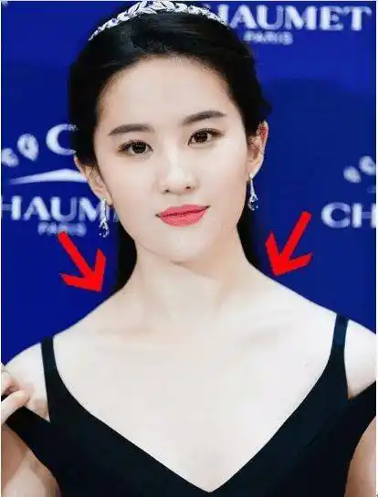 另外一块减肥也减不掉的肌肉叫斜方肌,是连接在脖子和锁骨之间的表层