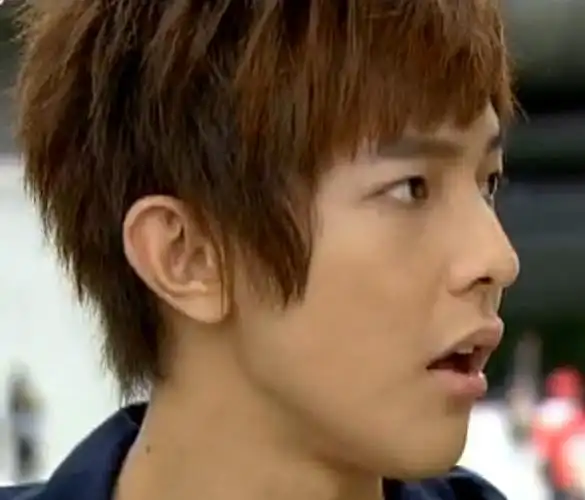 这个头发是什么颜色