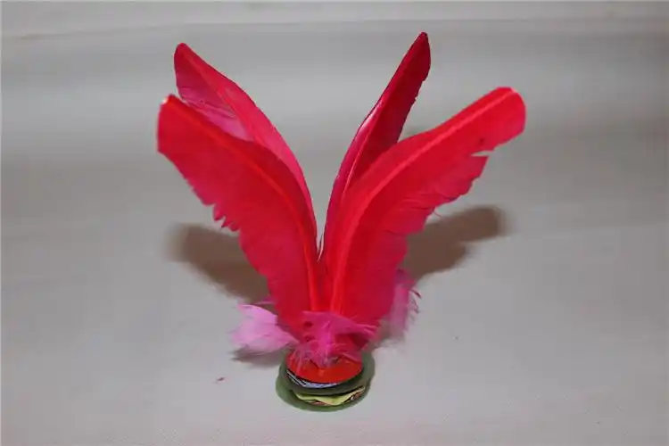 毽子大连春笛毽球鸡毽4孔毛可拆牛筋鹅毛大号洒水