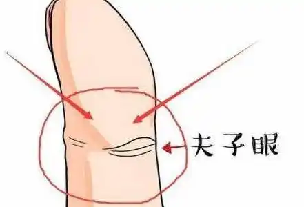 食指有凤眼纹手相,是一种十分可贵的手纹,一生逢凶化吉遇难呈祥_大