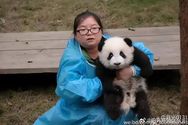 北京到底有谁?有越狱的萌兰,玩过菜刀坐死蛇的萌萌,人教版萌二