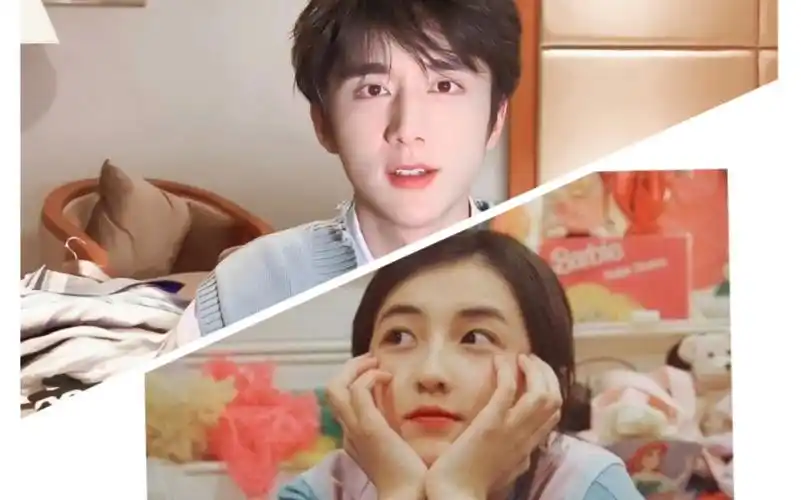 张新成张子枫他她是个骗子偷走了我的心