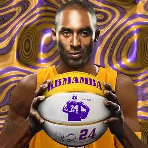 【黑曼巴科比】黑曼巴科比品牌,价格 - 阿里巴巴