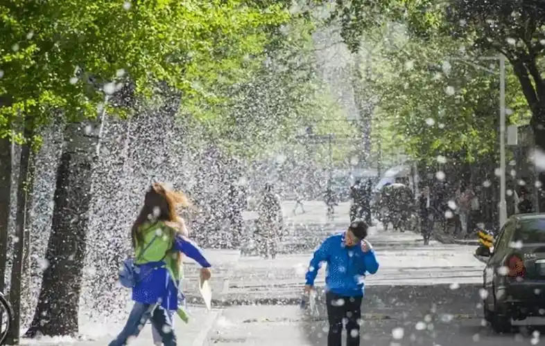 965社区医生说春季柳絮纷飞如何预防过敏