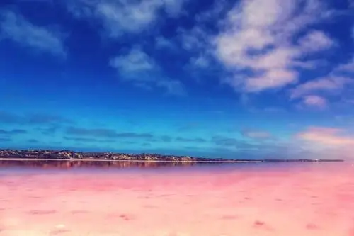 打卡网红梦幻粉红湖!快来西澳炸裂你的少女心