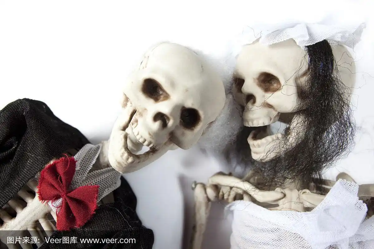 骷髅新娘和新郎