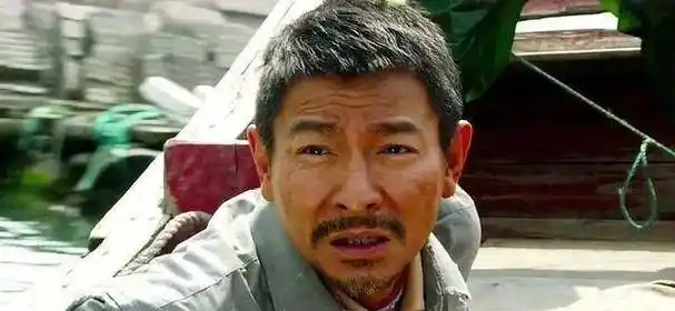 刘德华长得太帅演不了农民,却在《失孤》中实力打脸张艺谋_华仔_大姐