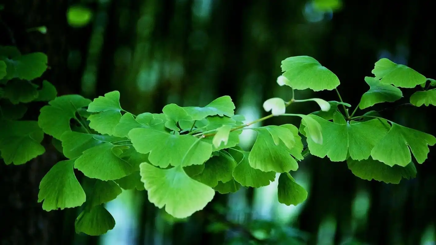 女人在微信上给你发这两个字,其实想你了