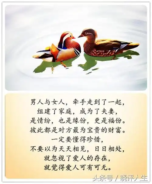 爱人是人世间最温馨,最甜蜜的字眼.夫妻之间,要懂的包容.