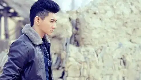 pompadour /slicked-back hair复古发型(vintage hairstyle)郭富城头