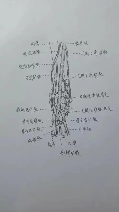 拇外翻(大脚骨)-大同市创新骨科医院管理有限公司(原大同骨科医院