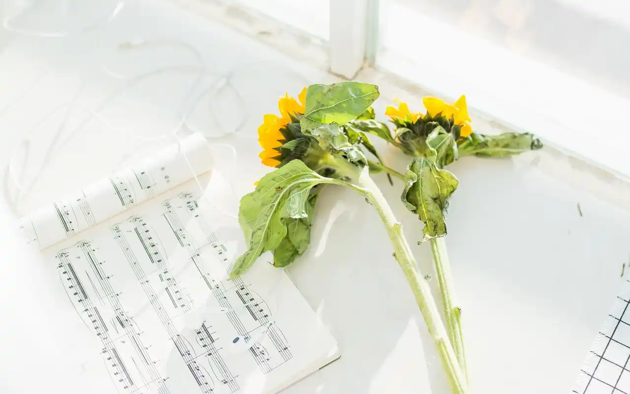 早春小清新景物风景图片壁纸