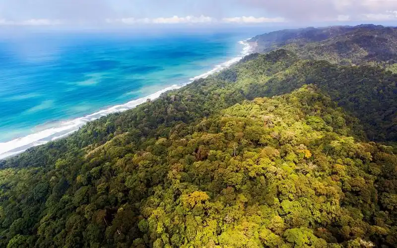 丛林,森林,海岸,蓝色的大海,云,哥斯达黎加 640x1136 iphone 5/5s/5c