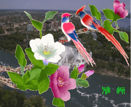 自编[鸟语花香]动画图及精美的动态国画 —飞禽篇