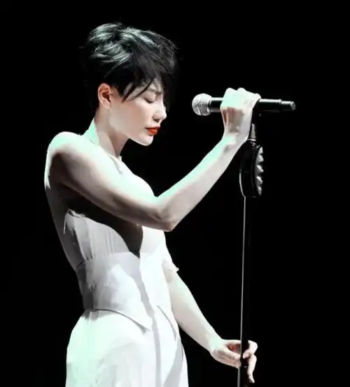 马来西亚人眼里的香港歌星排名,前五名代表,张学友只排第4