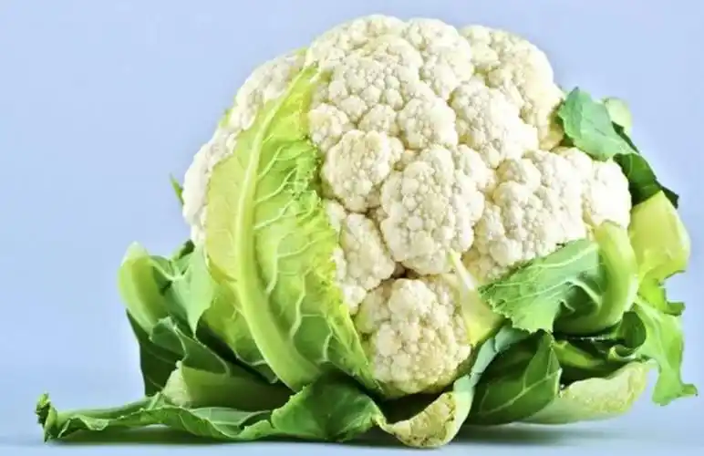 灵活水肥管理,培育优质菜花-聚英云农