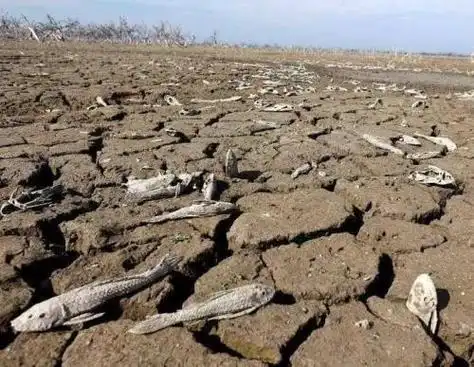 世界缺水造成的后果的简笔画 简笔画图片大全-普车都