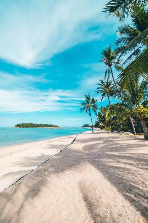 抖音最受欢迎的海滩文案短句(精选65个)