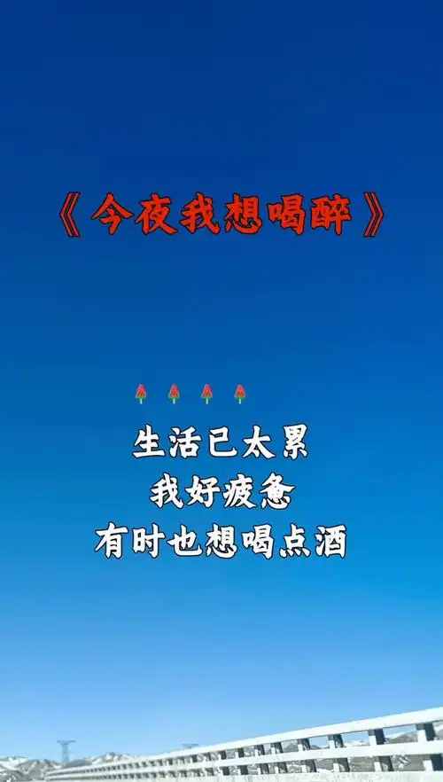 今夜我想喝醉 音乐分享 谢谢支持
