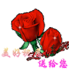 240_240gif 动态图 动图