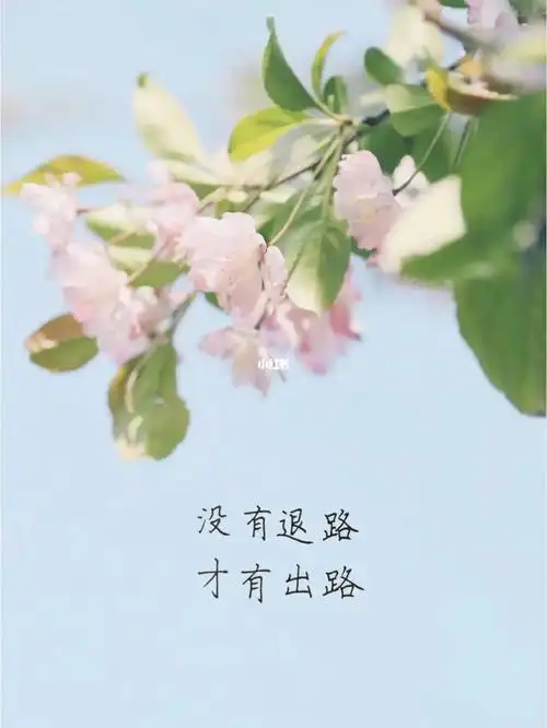 78在谷底也要开花,在海底也要望月_78没有退路,才有出路#好句摘抄