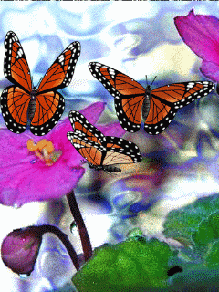 空间动态素材 动态背景素材