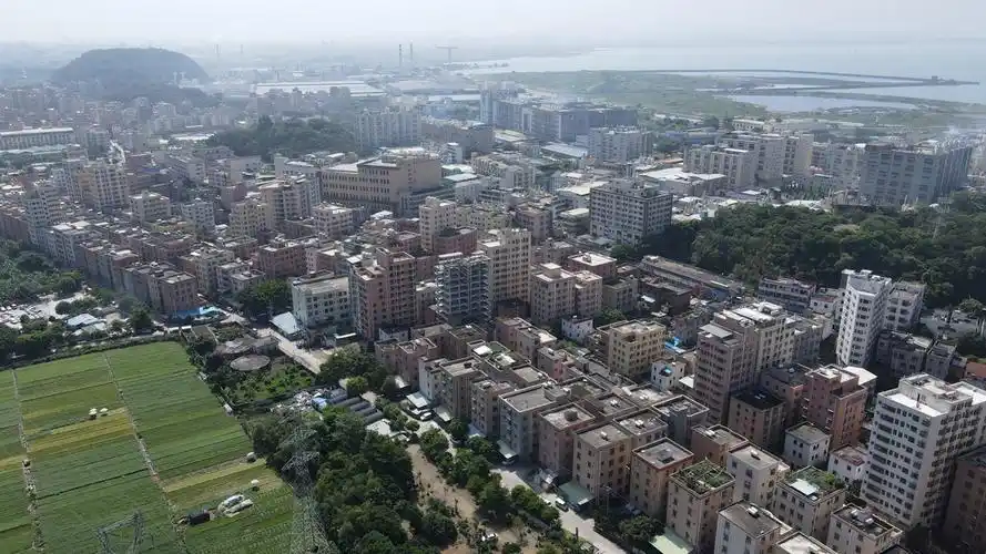 东莞虎门沙角社区制定民生项目清单用情用心办好实事