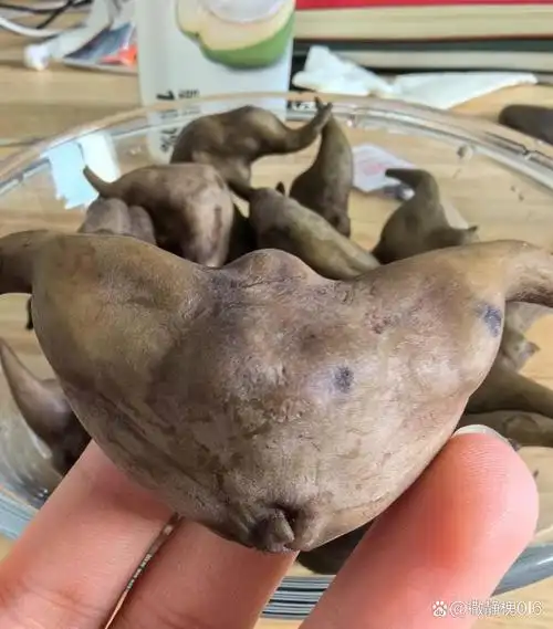 今天下午去朋友家玩的时候,她给拿出来一盘形状怪异的水果.