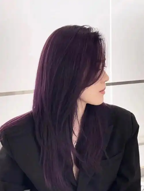 葡萄紫黑发直染