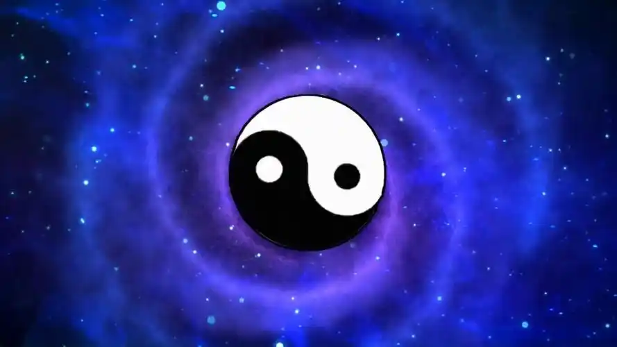 186 高速旋转的太极图里面掩藏了什么秘密?