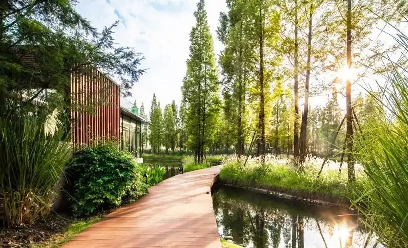 这样的雨水花园,看得我小鹿乱撞!