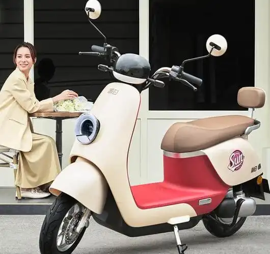 电动车价格战爆发,多款新车参战,爱玛,新日,小刀,台铃出手了