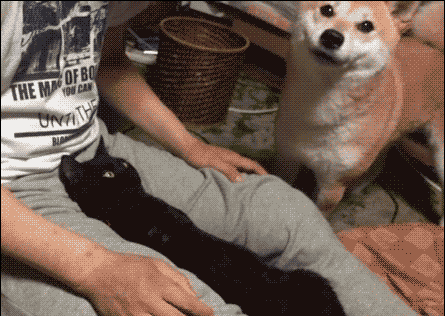 一入汪界深似海从此坠入汪渊便不可自拔