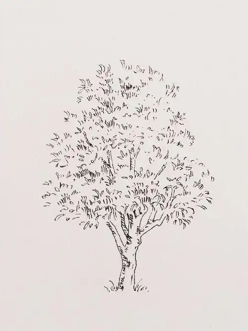 大树钢笔画线稿图片集钢笔画树木线稿作品大全
