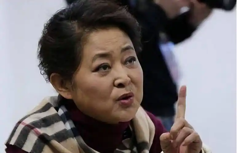 倪萍64岁苍老不堪,拒绝移民,为继子的婚姻担忧_儿子_中央电视台_魅力