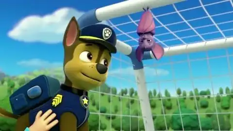 汪汪队:阿奇多才多艺,只用一首摇篮曲,就完成任务!