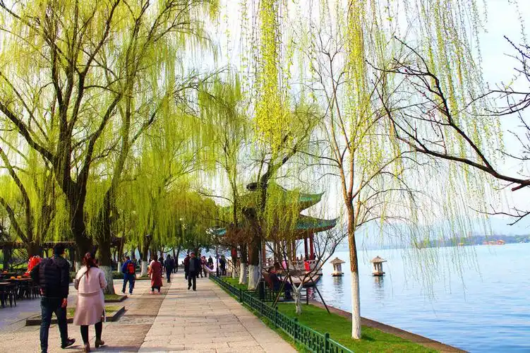 柳浪闻莺西湖边
