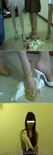 造孽啊!网络又现"踩兔女"