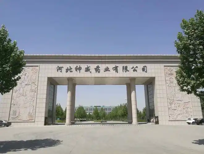 【神威药业集团改革发展38周年】神威"变形"记之枝繁叶茂的产业布局