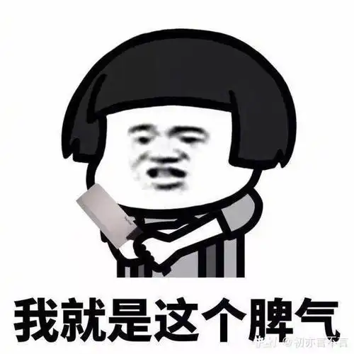 我就是这个脾气聊天表情搞笑图片表情